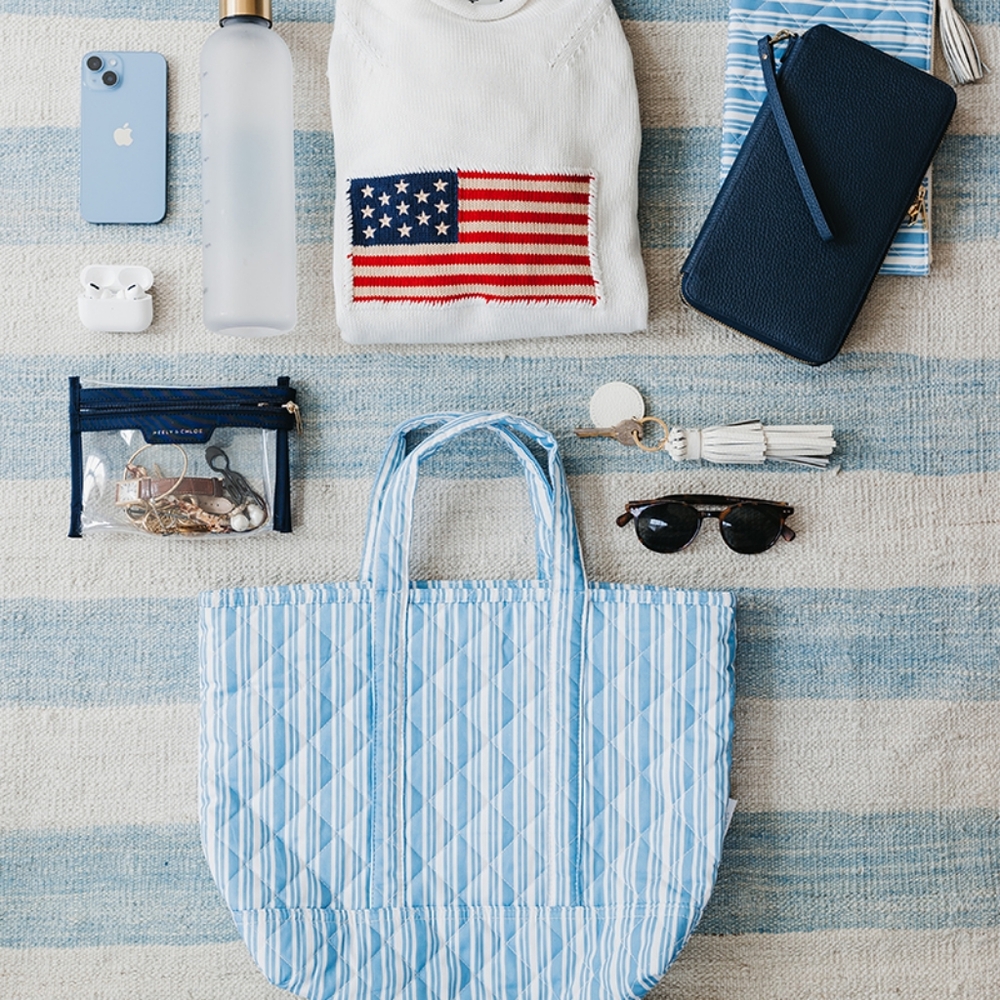 Neely & Chole Blue Striped Tote Bag Carly * BAG ONLY - Picture 1 of 2